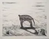 Miniature de la lithographie de Holley Chirot 